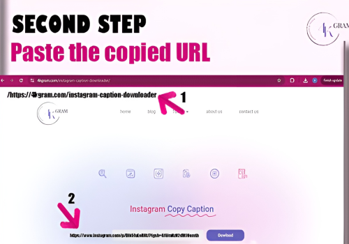 Caption downloader | 4kgram