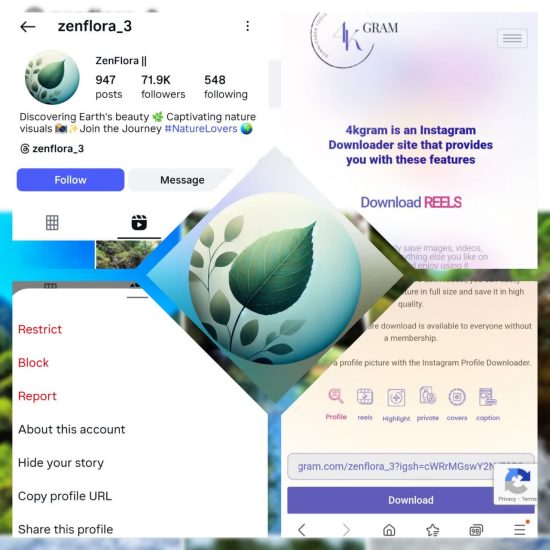 Download Instagram images