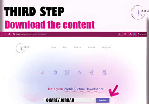Insta Profile downloader | 4kgram