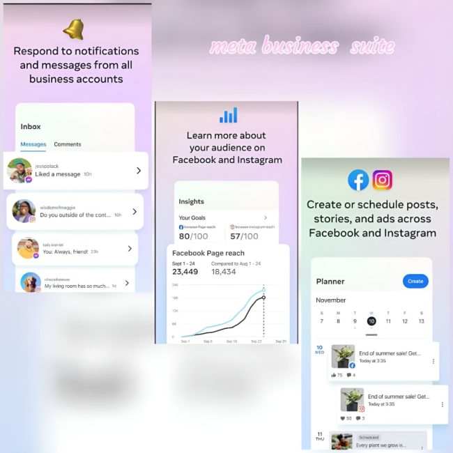 Instagram Content Management