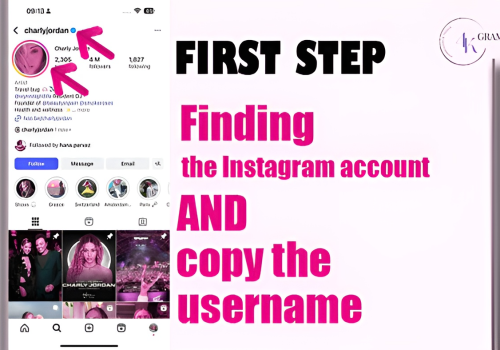 Instagram Profile downloader | 4kgram