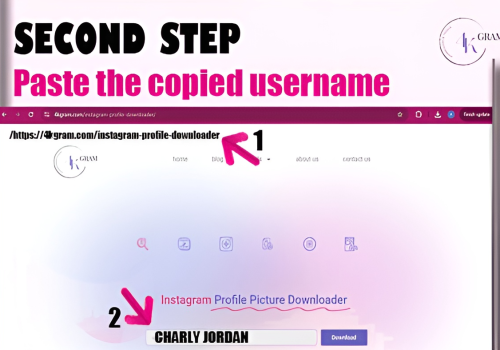 Instagram Profile picture downloader | 4kgram