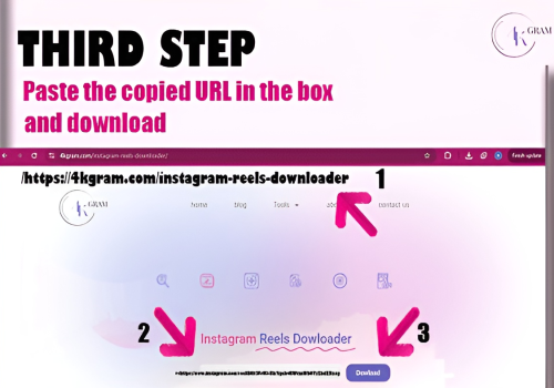 Instagram Reels download | 4kgram