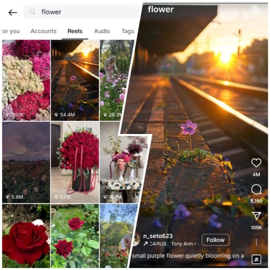 Viral content Instagram